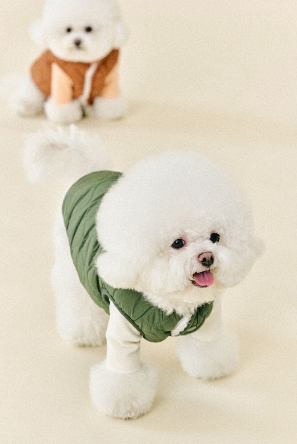 GAMDO pet
