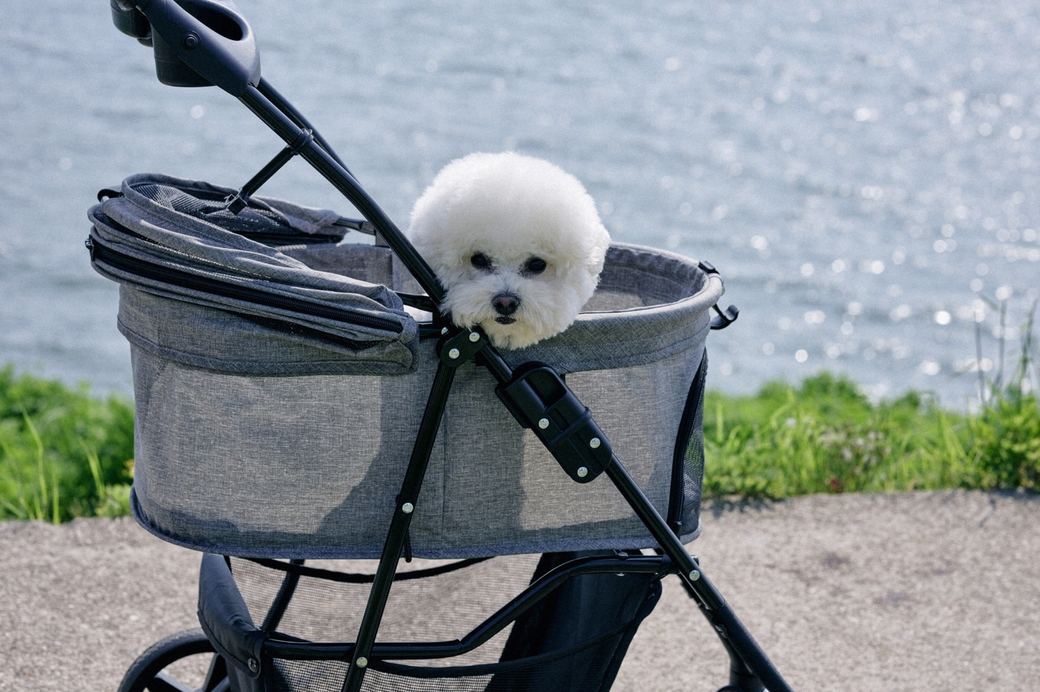 GAMDO pet